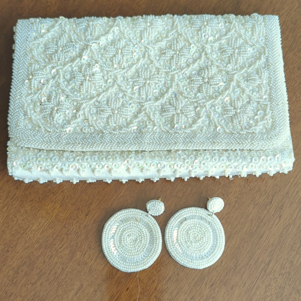 Evening Purse and earrings